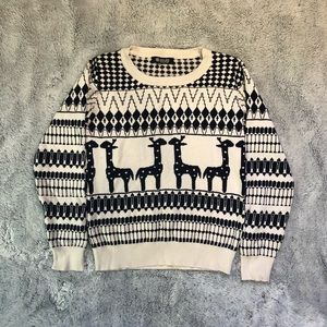 Cute Giraffe Winter-Inspired Sweater
